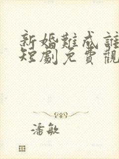 新婚难成谁之错短剧免费观看