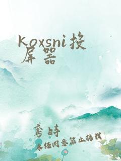 koxsni投屏器