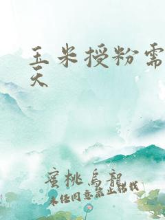 玉米授粉需要几天