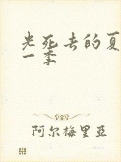 光死去的夏天第一季