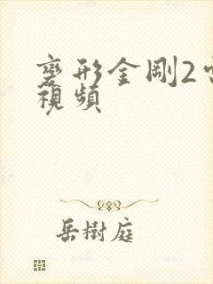 变形金刚2电影视频