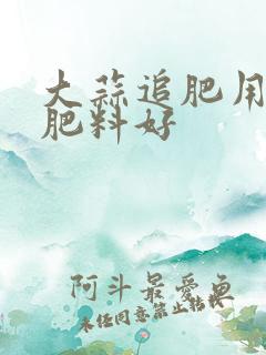 大蒜追肥用什么肥料好