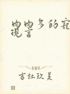 肉肉多的宠文,现言