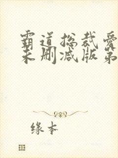 霸道总裁爱上我未删减版第1季