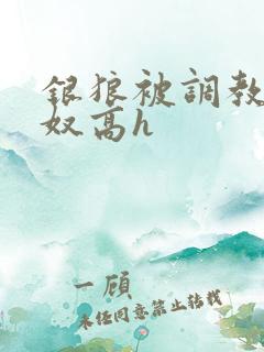 银狼被调教成肉奴高h