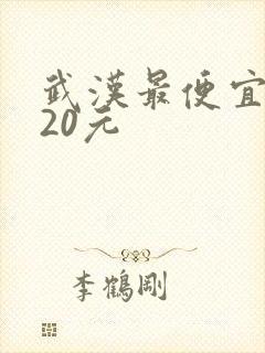 武汉最便宜旅馆20元