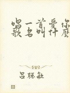 唱一首爱你的歌歌名叫什么