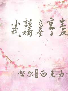 小说《重生后,我娇养了反派摄政王》
