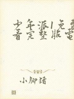 少年派1免费观看完整版电视剧全集
