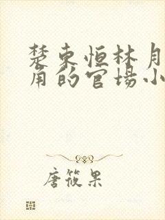 楚东恒林月为主角的官场小说名字