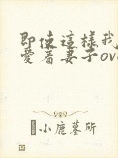 即使这样我依然爱着妻子ova2