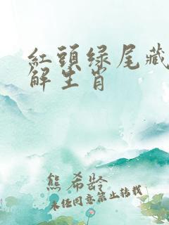 红头绿尾藏特马解生肖
