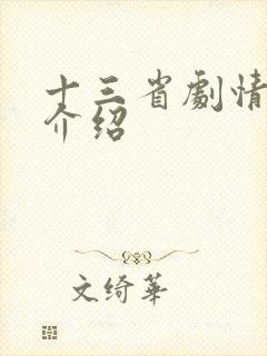 十三省剧情分集介绍