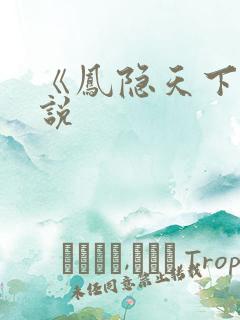《凤隐天下》小说