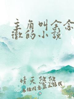 主角叫余念安秦彻的小说
