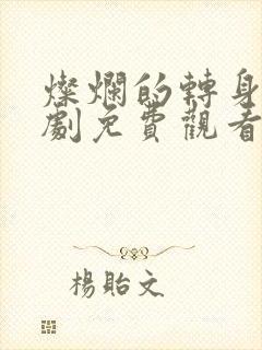 灿烂的转身电视剧免费观看完整版