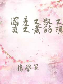 国产又粗又猛又爽又黄的视频播放