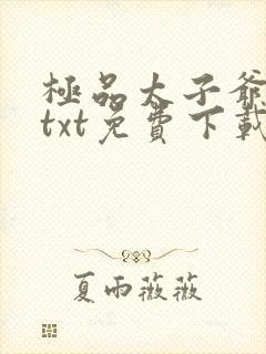 极品太子爷唐生txt免费下载