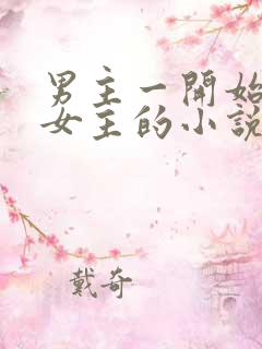 男主一开始讨厌女主的小说