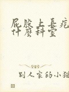 屁股上长疙瘩看什么科室