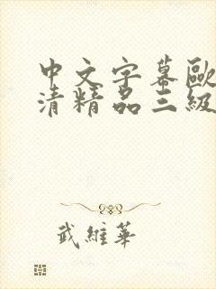 中文字幕欧美高清精品三级