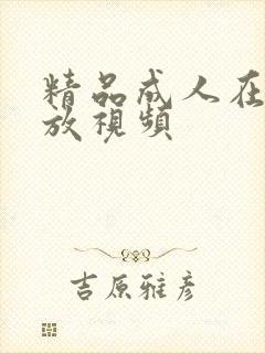 精品成人在线播放视频