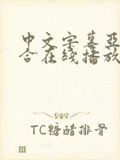 中文字幕亚洲综合在线播放