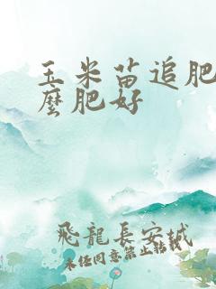 玉米苗追肥用什么肥好