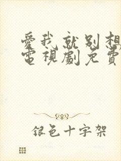 爱我就别想太多电视剧免费播放在线
