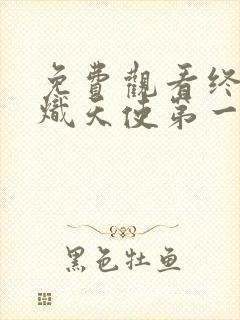 免费观看终结的炽天使第一季