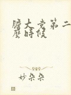 胆大党第二季什么时候