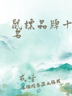 鼠标品牌十大排名