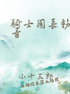 骑士团长动漫观看