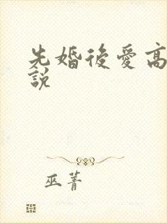 先婚后爱高h小说
