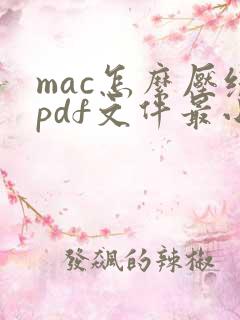 mac怎么压缩pdf文件最小
