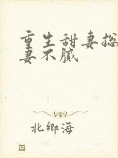 重生甜妻总裁宠妻不腻