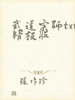 武道宗师txt精校版