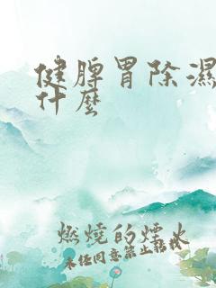 健脾胃除湿气吃什么