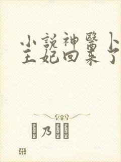 小说神医卜女:王妃回来了