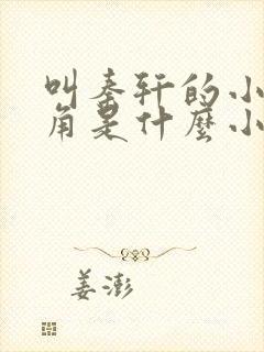 叫秦轩的小说主角是什么小说