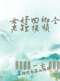 女婿回乡全村风光短视频