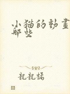 小猫的动画片有哪些