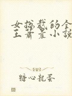 女总裁的全能兵王萧晨小说免费读