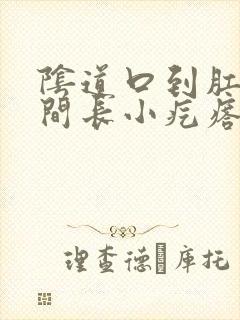 阴道口到肛门中间长小疙瘩