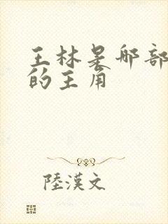 王林是哪部小说的主角