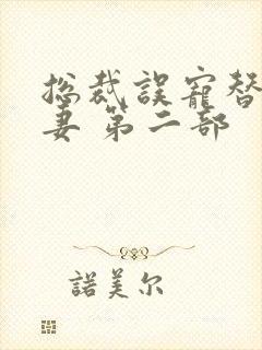 总裁误宠替身甜妻 第二部