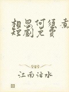 相思何须煮余年短剧免费