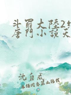 斗罗大陆2绝世唐门小说天域小说