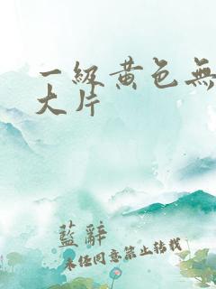 一级黄色无遮挡大片