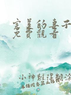 完美的妻子日剧免费观看